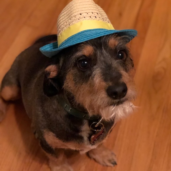 Meet your Posher, Lisa - Picture 3 of 3